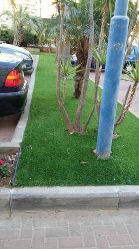 דשא סינטטי וצמחיה